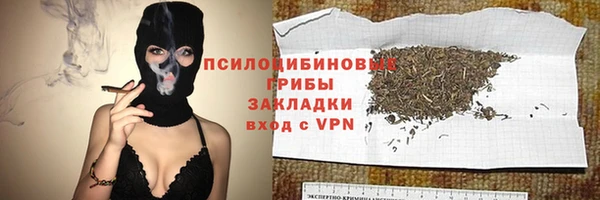 мяу мяу мука Белокуриха