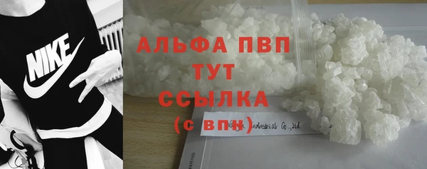 мяу мяу мука Белокуриха