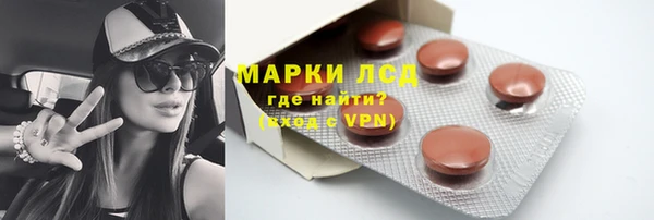 молекула духа Снежногорск