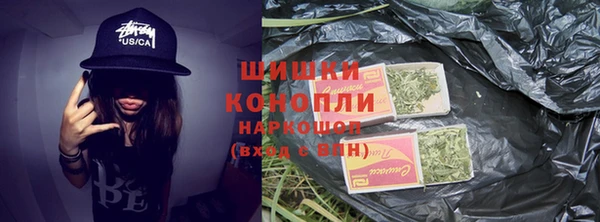 мяу мяу мука Белокуриха