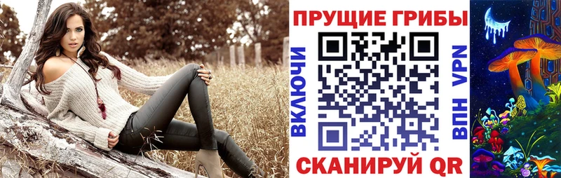 Галлюциногенные грибы GOLDEN TEACHER  Щигры 